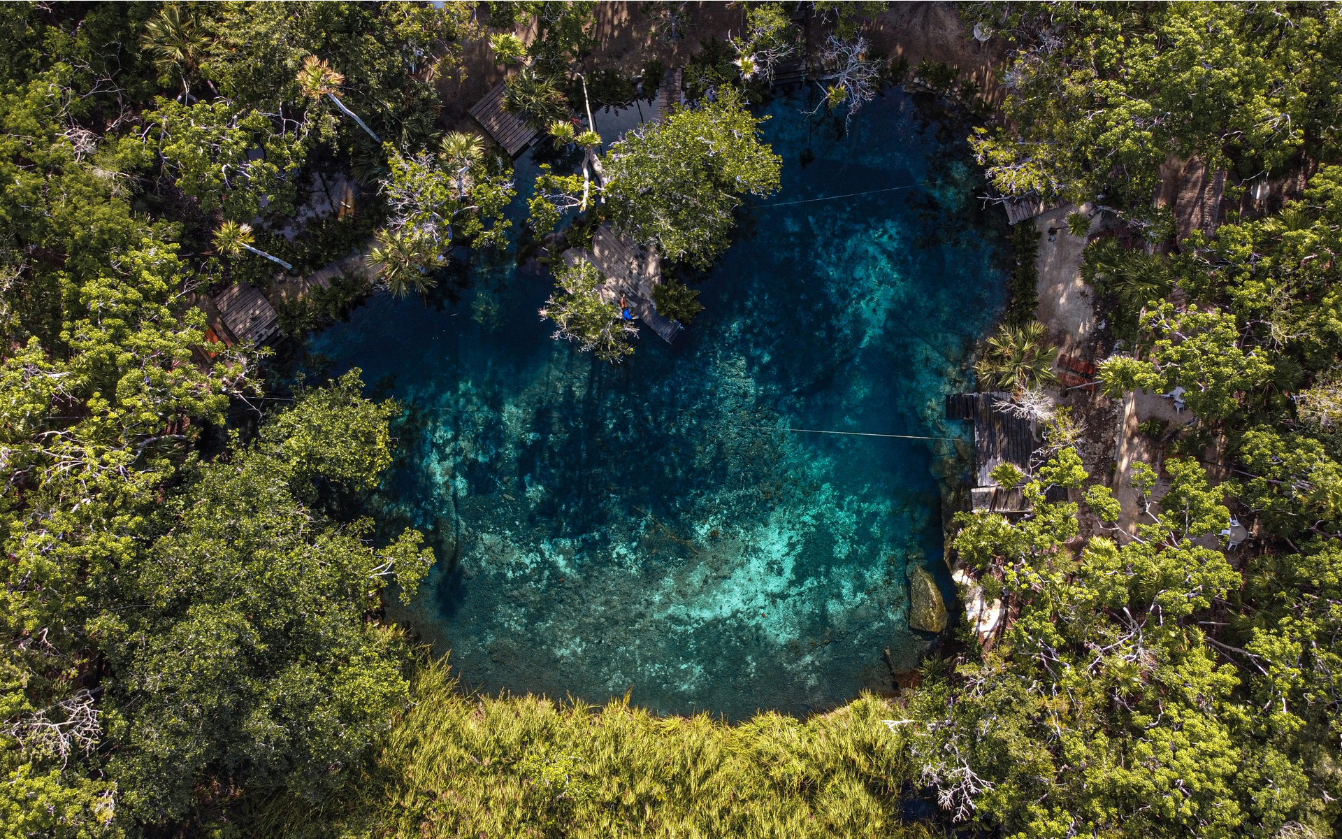Arhitektura – Seed Cabin  
