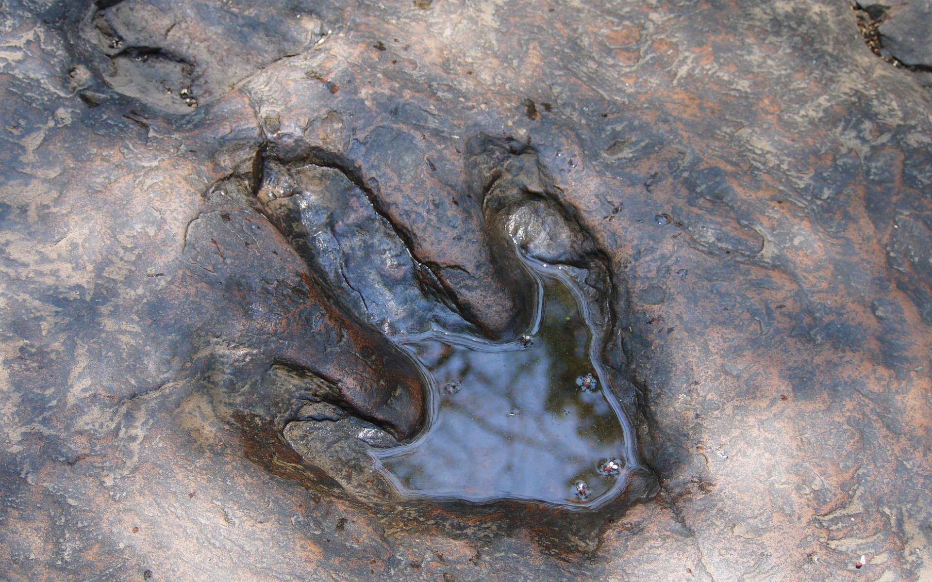 Vila za ljubitelje dinosaura